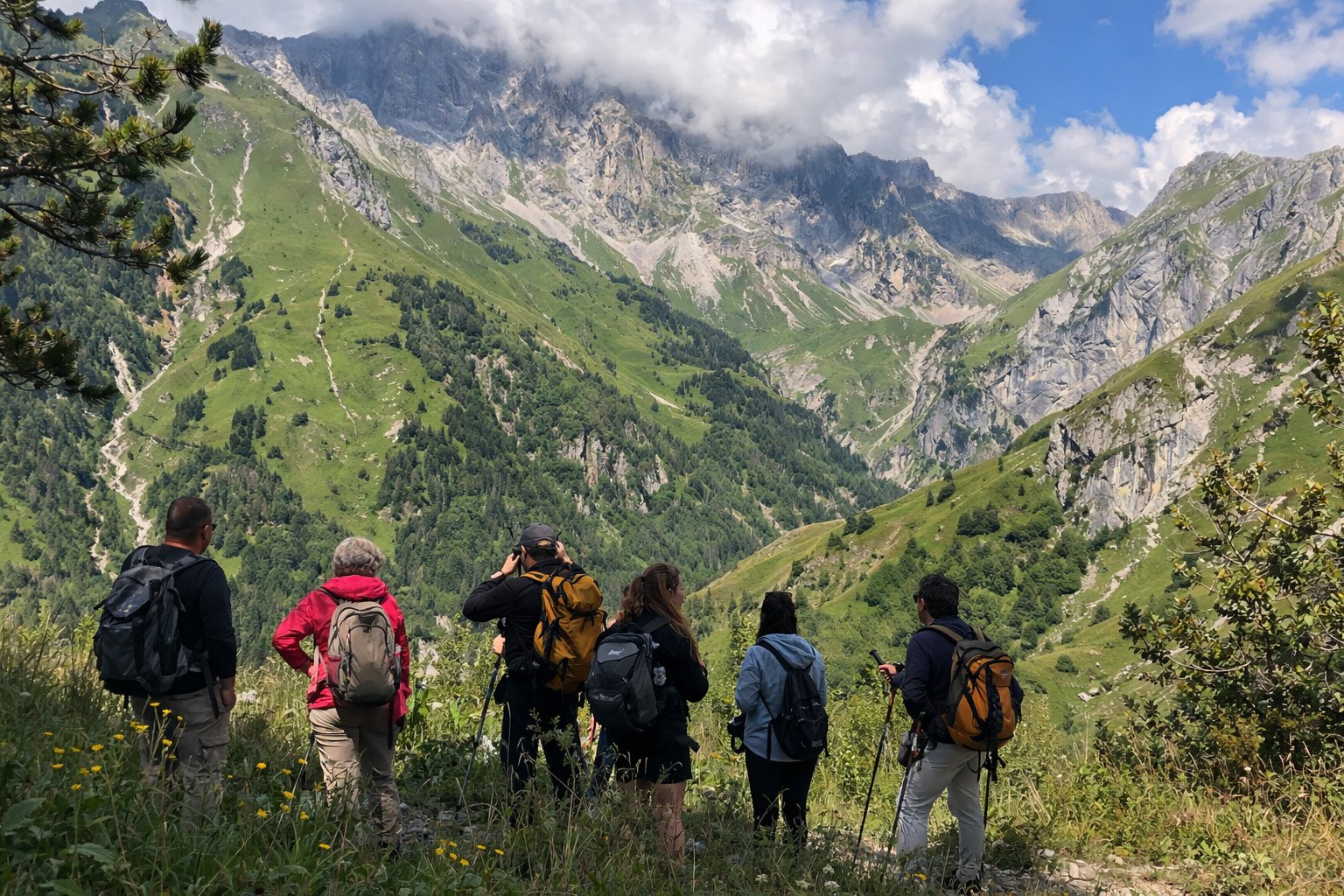 Randonneur observant la faune avec des jumelles